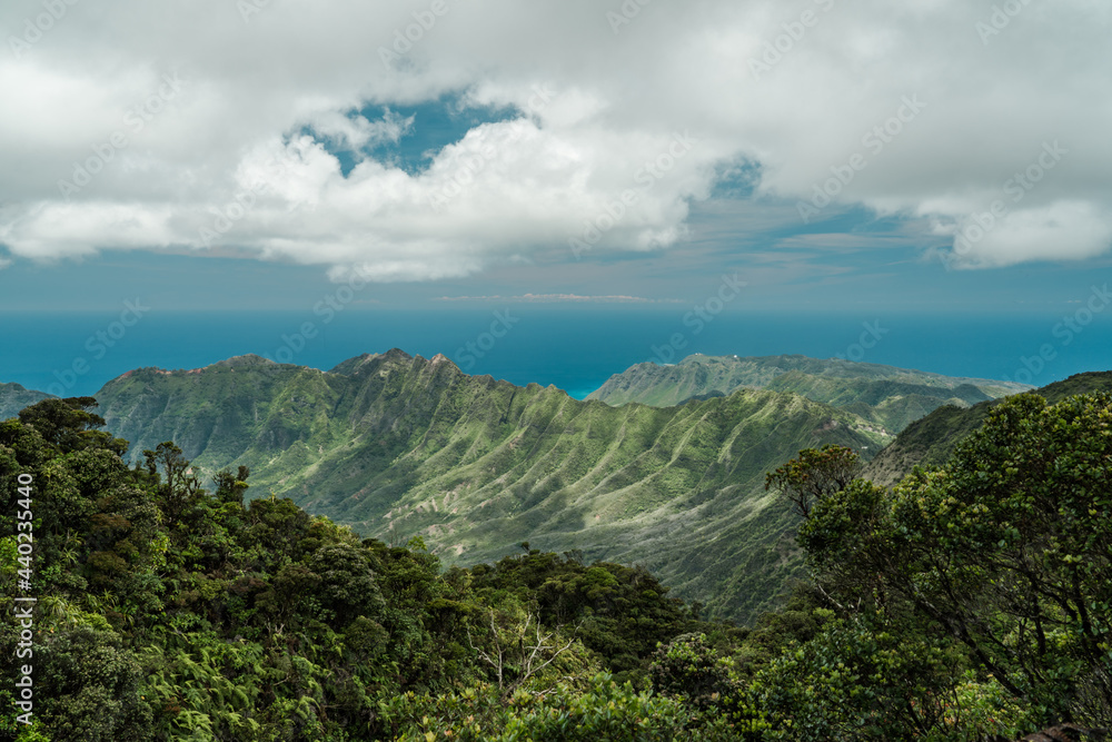 Waianae Range , Mount Kaala Trail , Oahu, Hawaii