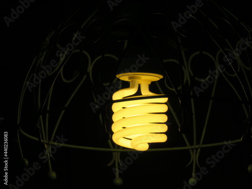 bulb on black