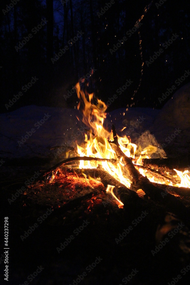 A beautiful flame of fire in the forest. A beautiful flame of fire in the forest.