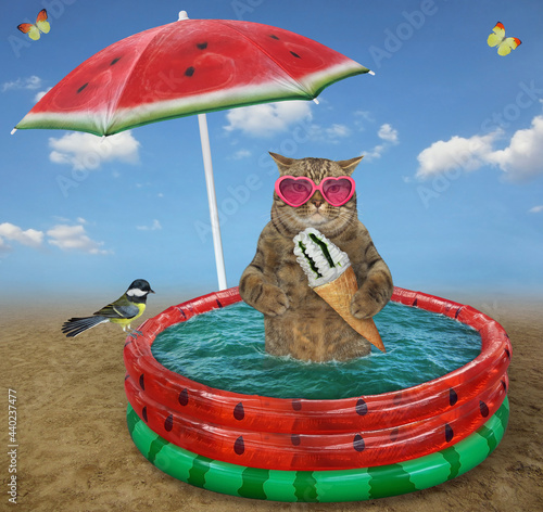 A beige cat with a cone of ice cream is sitting in a watermelon inflatable pool on the meadow. © iridi66