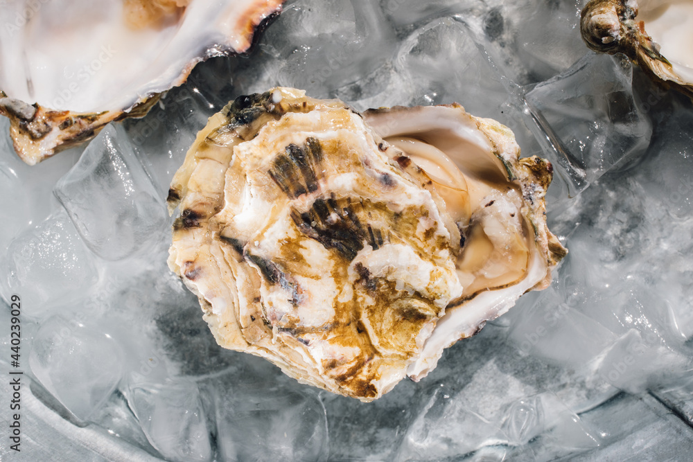 heart shaped oysters on ice heart shaped oysters on ice