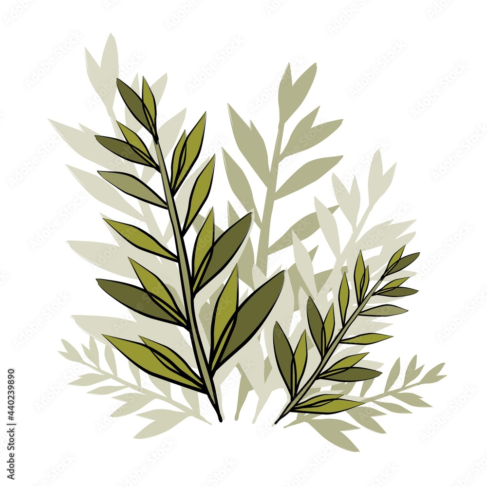 Fototapeta premium Olive branch, branches. Trees and lemas, vegetables and herbs. Olives are delicious and healthy. Healthy food. Olive oil. Eco food. Olive body mask. Foliage, south. Southern vegetable berry and fruit.