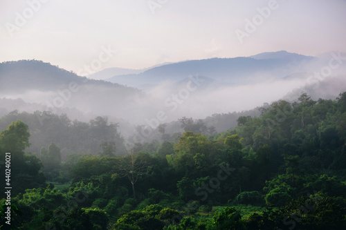 misty morning in the mountains © Anucha