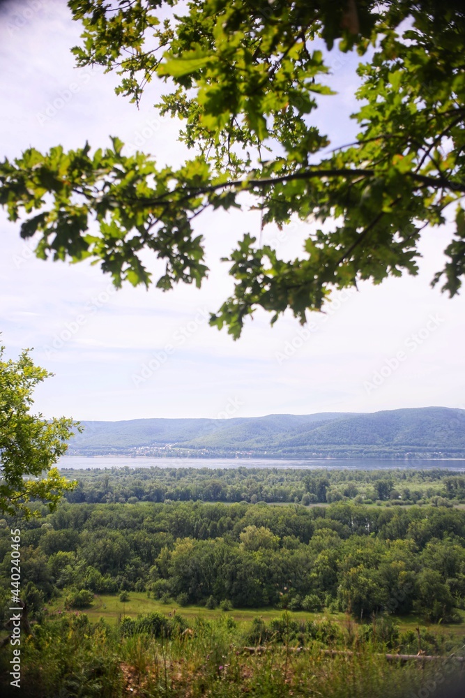 landscape with trees landscape with trees