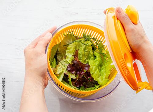 Top view of woman hands holding and drying salad in spinner tool bowl, healthy leafy greens inside. Comfortable way for washing and drying salad leaves. photo