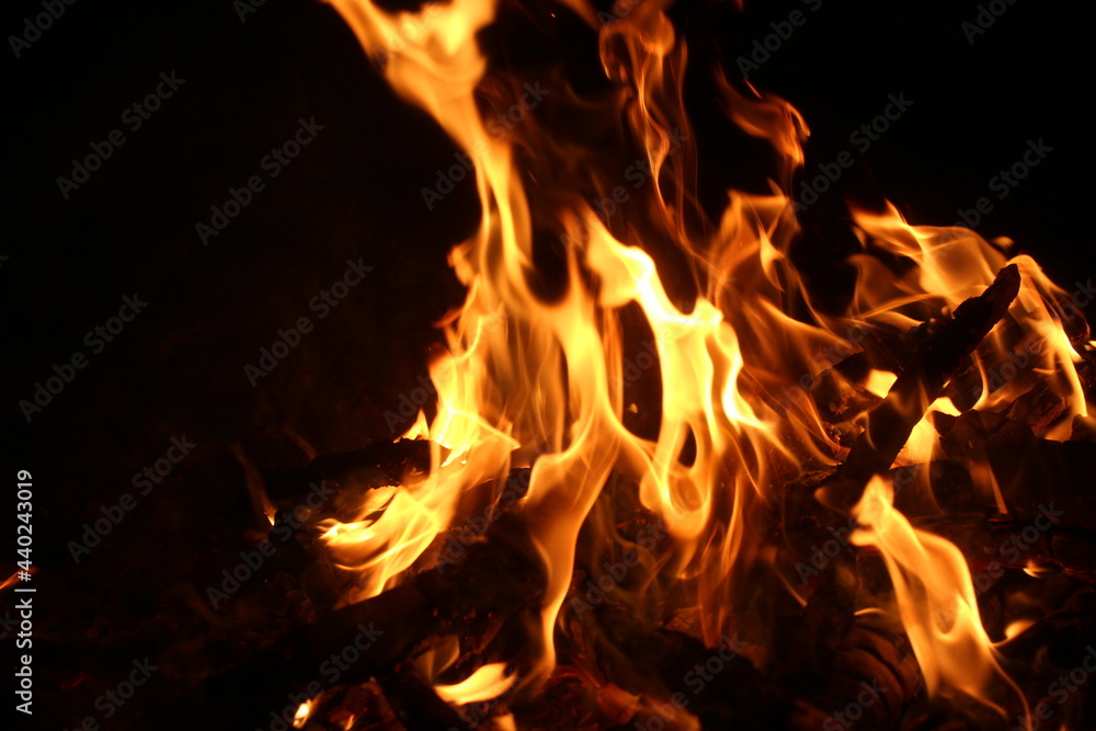 A beautiful flame from a big bonfire in the forest. A beautiful flame from a big bonfire in the forest.