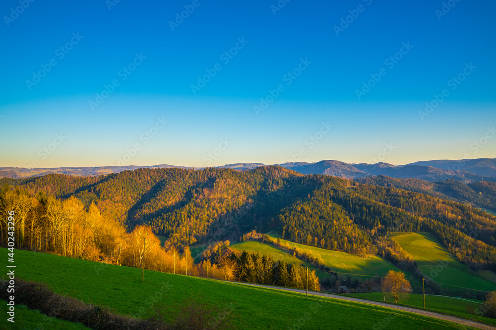 Naklejka premium Germany, Forest landscape aerial panorama nature view above trees in warm evening sunlight creating a magical atmosphere in the schwarzwald