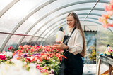 A charming female gardener, spraying fresh water on the petals of colorful flowers, works in a greenhouse.
