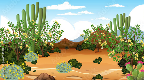 Desert forest landscape at daytime scene with many cactuses photo