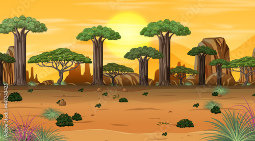 African Savanna forest landscape scene at sunset time
