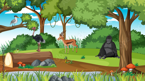 Rainforest scene with different wild animals photo