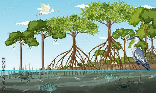 Mangrove forest landscape scene at daytime with many different animals photo