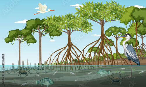 Mangrove forest landscape scene at daytime with many different animals