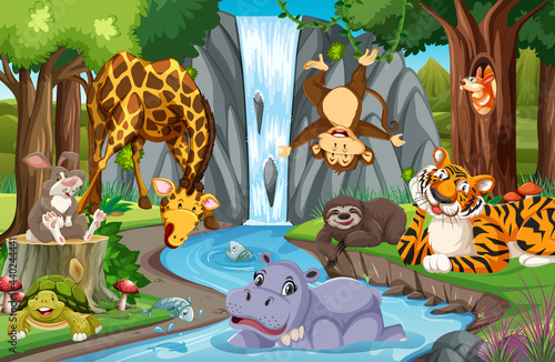 Wild animals in the jungle