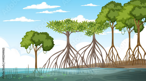Mangrove forest landscape scene at daytime