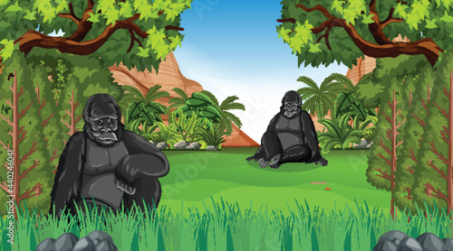 Gorilla in forest or rainforest scene with many trees