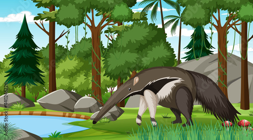 An anteater in forest scene with many trees