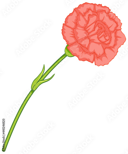 Pink carnation flower in cartoon style isolated