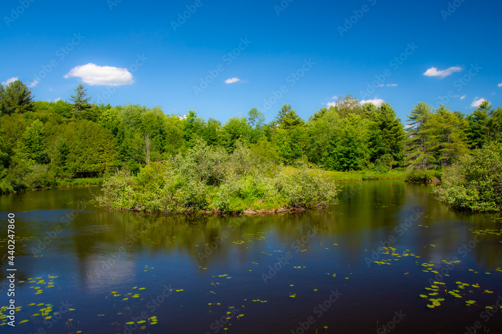 Fototapeta premium Beautiful and wild river in the province of Quebec, Canada