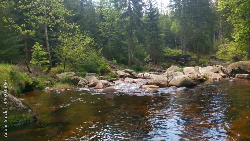 Beautiful small forest river on a cloudy day in the mountains Beautiful small forest river on a cloudy day in the mountains