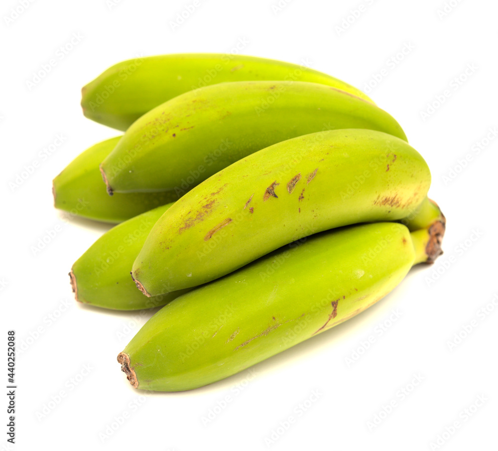 bunch of short green unripe banana fruit from Canary Islands  isolated on  white background