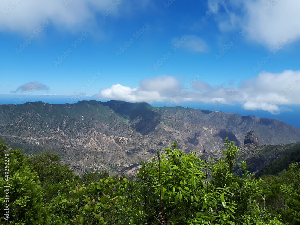 Landscape overlooking the mountain array and relict forest - obrazy, fototapety, plakaty 