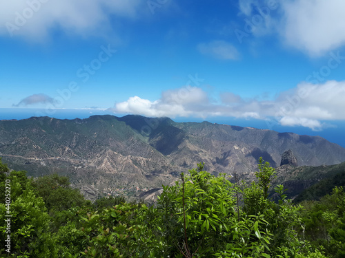 Landscape overlooking the mountain array and relict forest photo