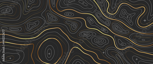 Luxury gold abstract line art background vector.  Mountain topographic map background with golden lines  texture, 17:9 wallpaper design for wall arts, fabric , packaging , web, banner, app, wallpaper.