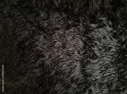 Black animal wool texture background. Close-up texture of plush fluffy fur rug for product backdrop, top view