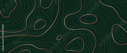 Luxury gold abstract line art background vector.  Mountain topographic map background with golden lines  texture, 17:9 wallpaper design for wall arts, fabric , packaging , web, banner, app, wallpaper.