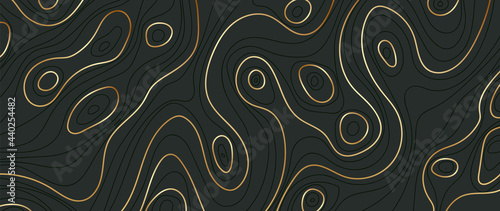 Luxury gold abstract line art background vector.  Mountain topographic map background with golden lines  texture, 17:9 wallpaper design for wall arts, fabric , packaging , web, banner, app, wallpaper.