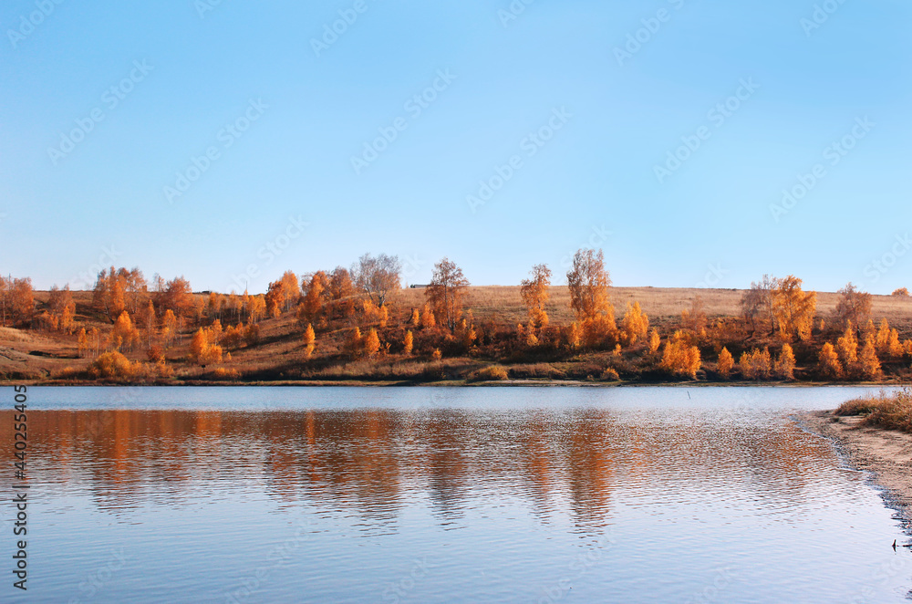 Autumn landscape. View of the river and birches with yellow foliage.