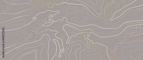 Luxury gold abstract line art background vector.  Mountain topographic map background with golden lines  texture, 17:9 wallpaper design for wall arts, fabric , packaging , web, banner, app, wallpaper.