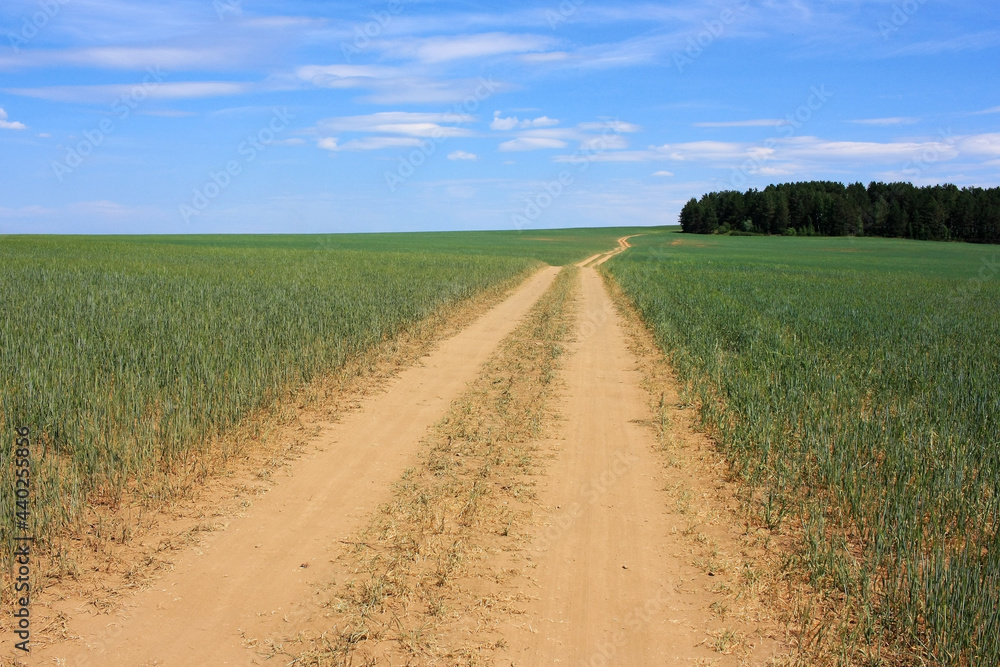 Country dirt road in the field