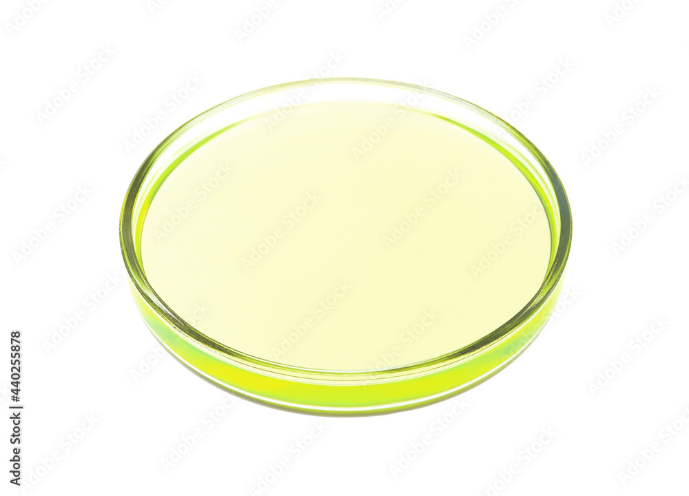 Petri dish with green liquid isolated on white Petri dish with green liquid isolated on white