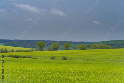 Spring agricultural landscape, Podilski Tovtry nature reserve, Podilia region, South-Western Ukraine © Dmytro Surkov
