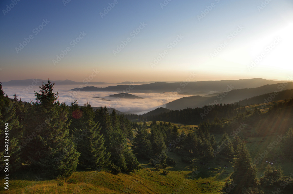 Obraz premium Mountain landscape with forest in the summer. Silhouettes of fir trees in the fog