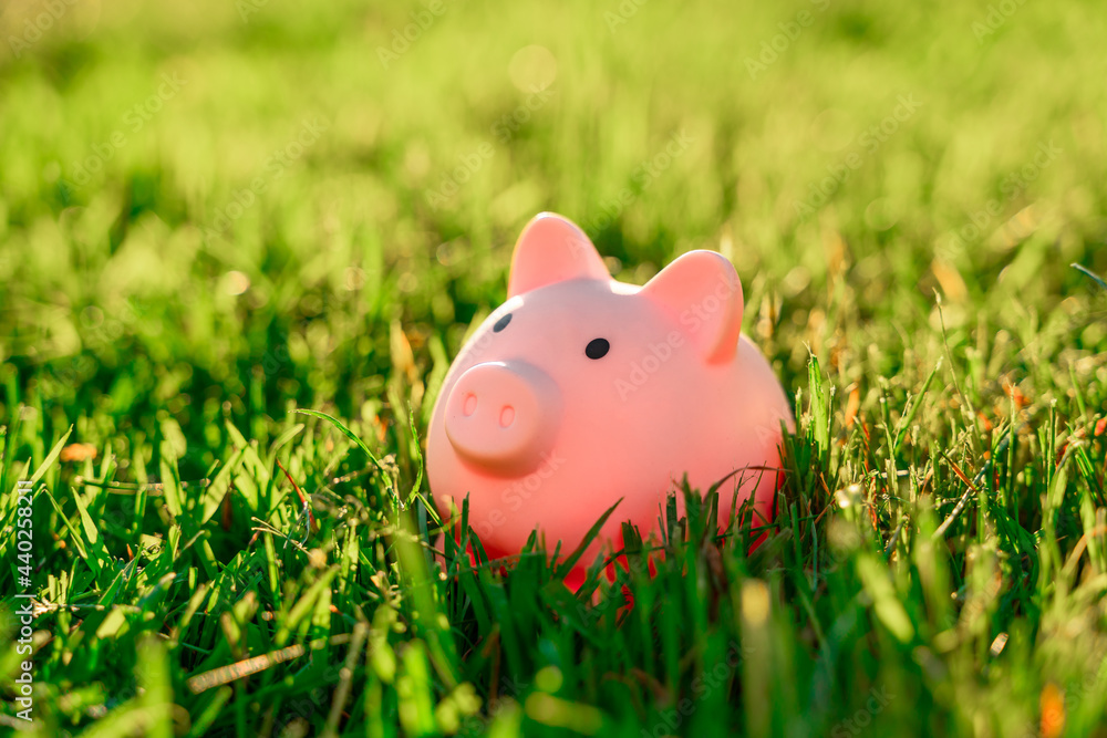 Piggy bank in the grass at sunset, a place for text