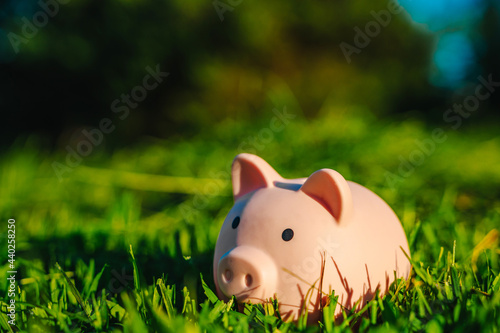 Piggy bank in the grass at sunset, a place for text