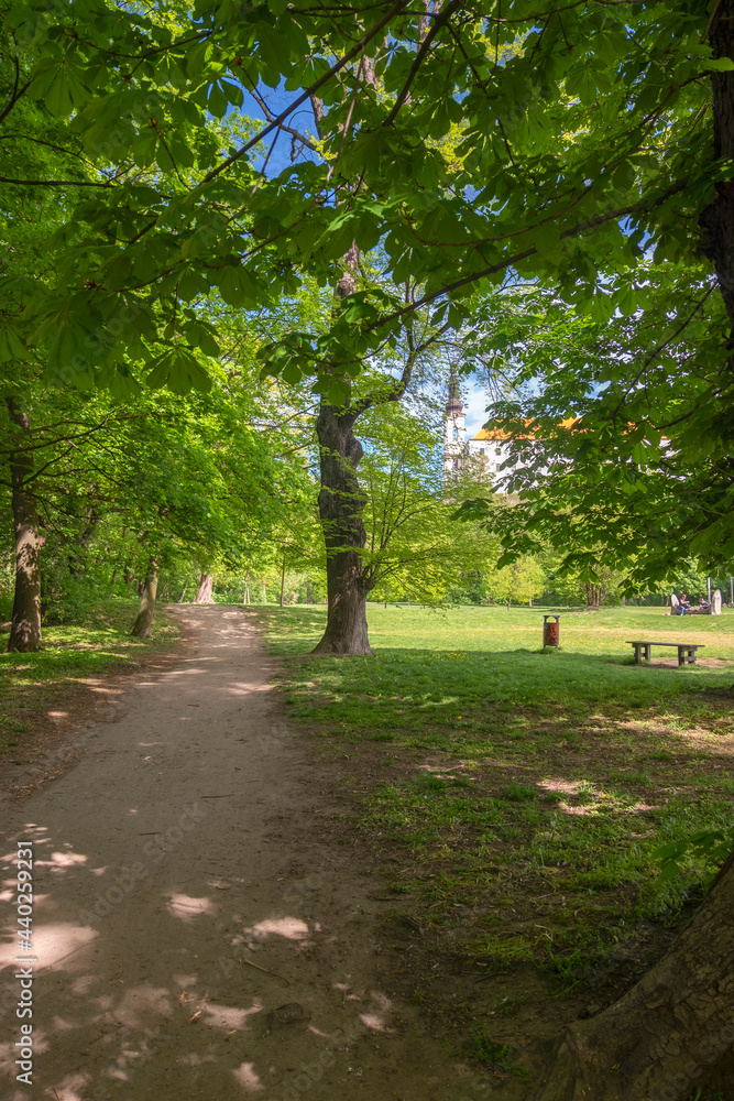 Path through the park with a bench.