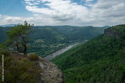 View of the Elbe Canyon in Bohemian Switzerland.