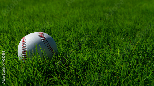 Baseball ball on the lawn. 芝生の上の野球ボール