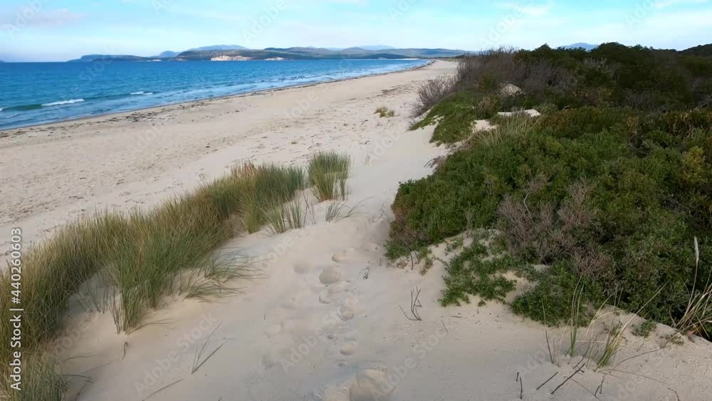 wide pristine beach of Marion Bay in Souther Tasmania in Australia with blue pacific ocean waves and golden sand with thick vegetation wide pristine beach of Marion Bay in Souther Tasmania in Australia with blue pacific ocean waves and golden sand with thick vegetation