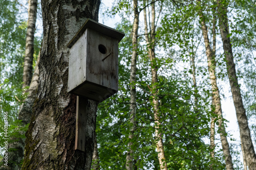 Old birdhouse on a tree in the forest.