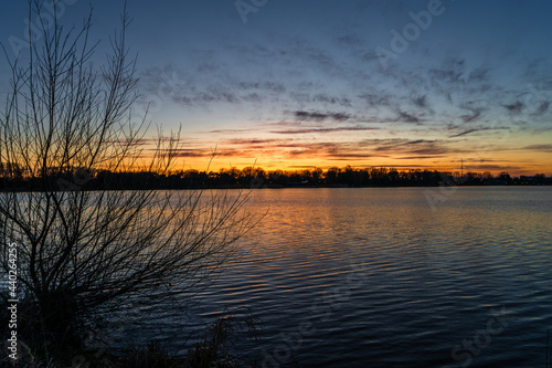 sunset alphen aan den rijn water lake with tree photo
