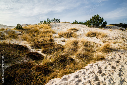Dunes and sky in schoorl