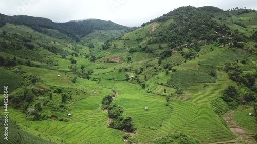 Asian rice field terrace on mountain side, lush agriculture land. Rice is the staple food of Asia photo