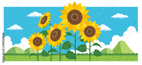 ひまわりと山のイラスト素材