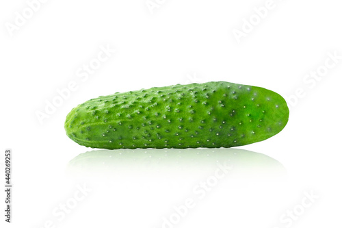 One green cucumber isolated on white background with reflection