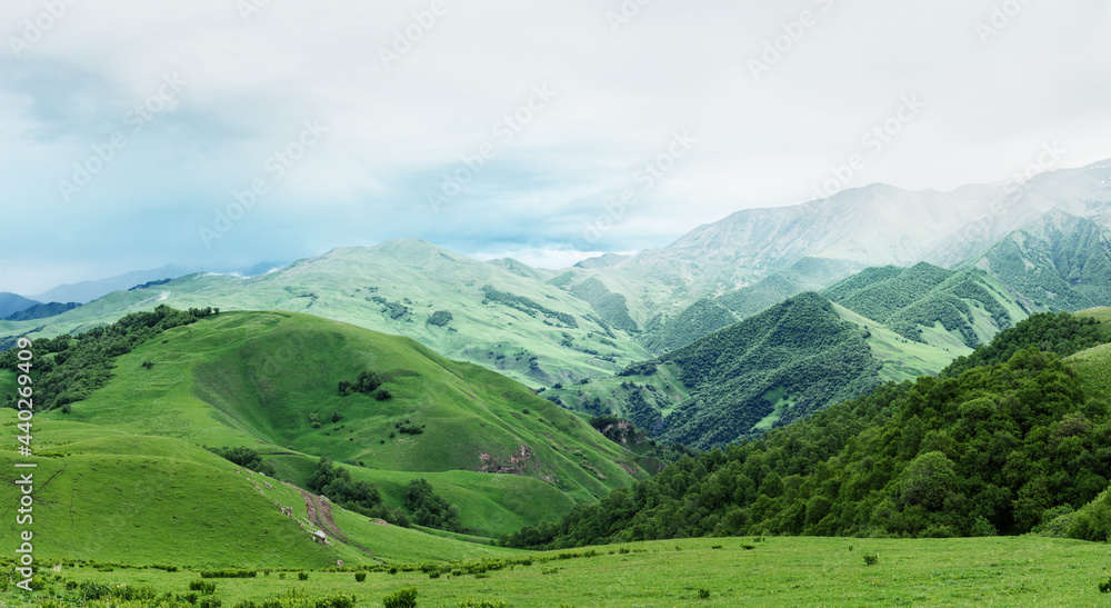 Green hills and forest with low grey clouds. Elbrus panoramic landscape